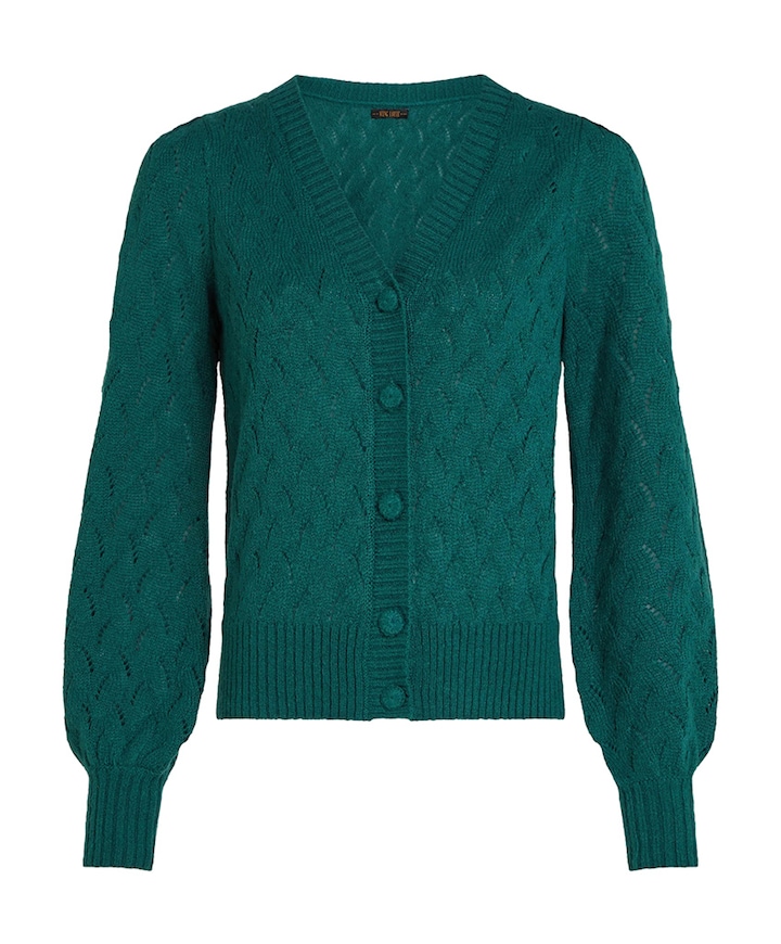 Dames vest groen