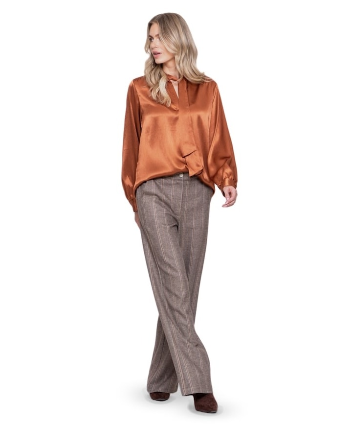 Dames broek bruin