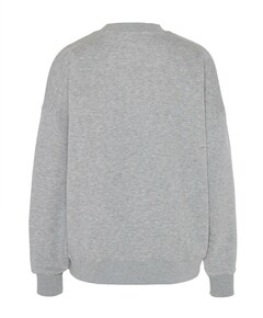 Dames sweater grijs