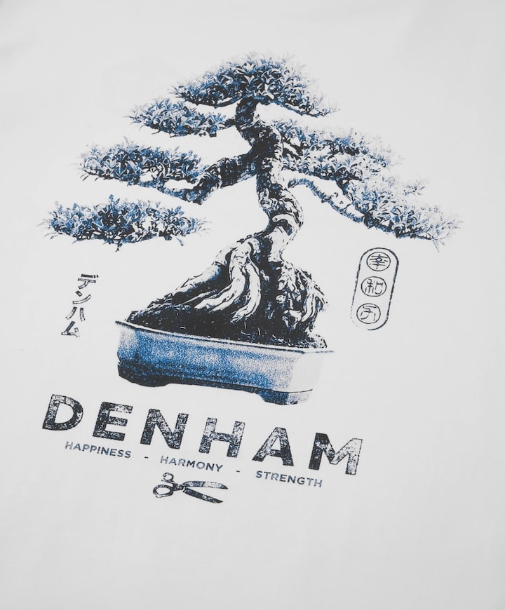 Heren T-shirt wit