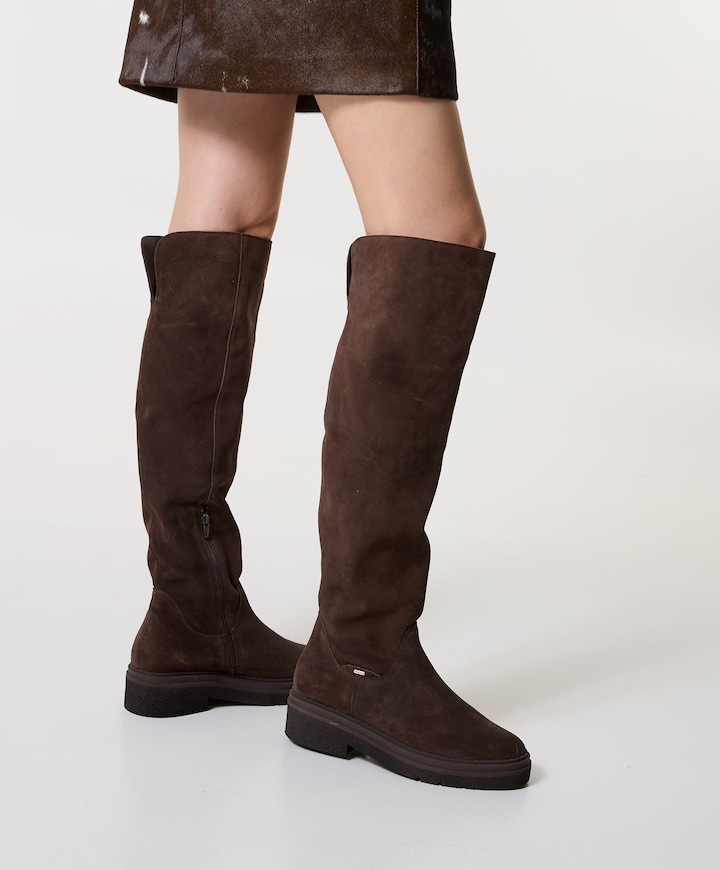 Liz Eiffel dames laarzen bruin