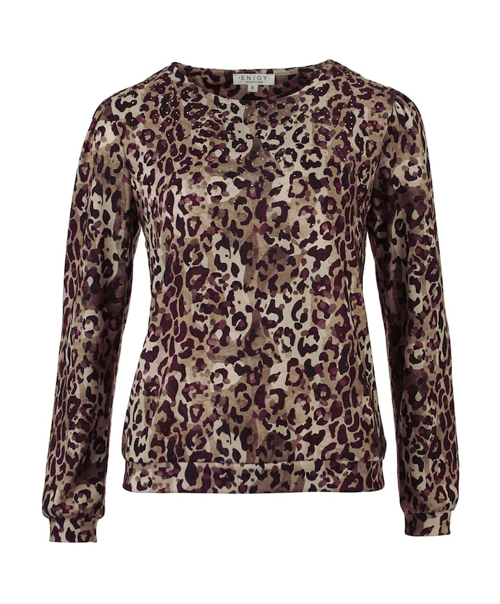 Dames longsleeve bruin