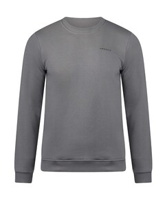 Jongens sweater grijs