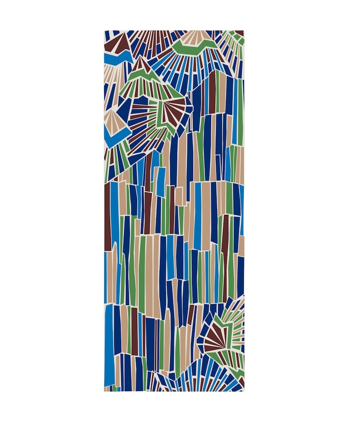 Dames sjaal multicolor