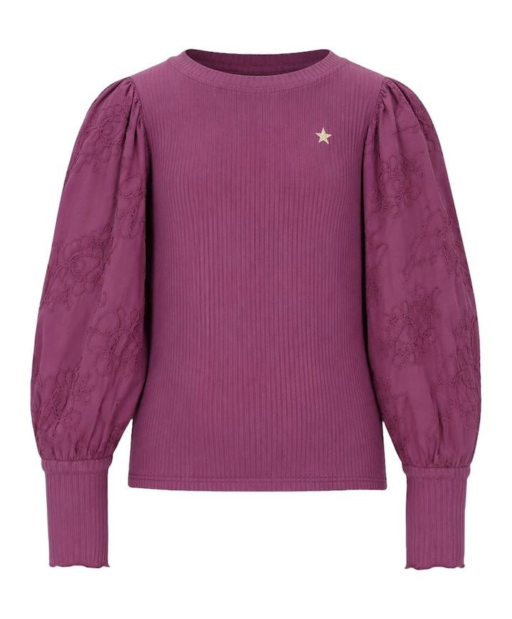 Meisjes longsleeve paars