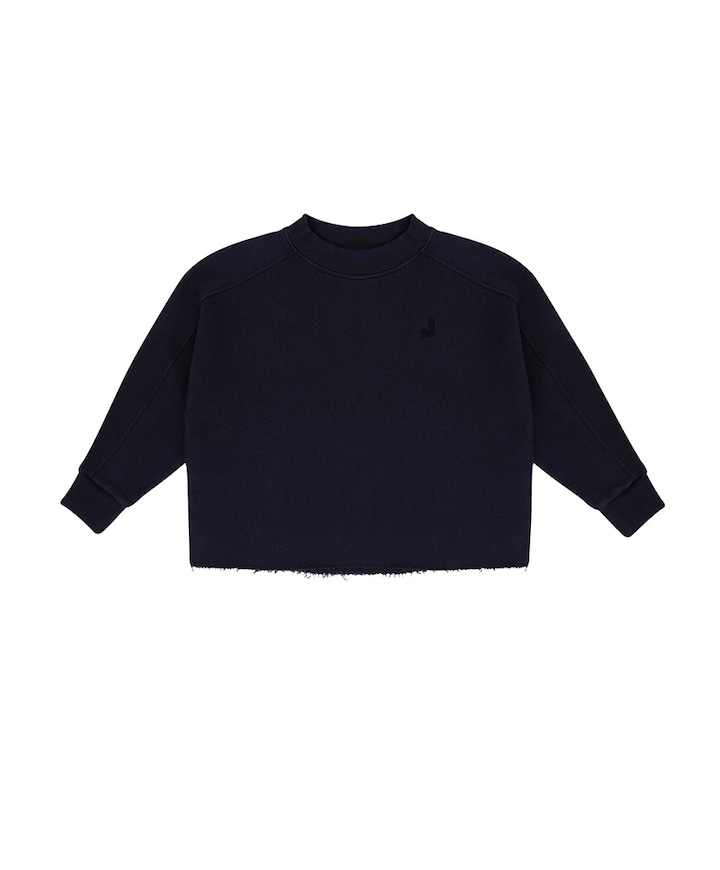 Sweater blauw