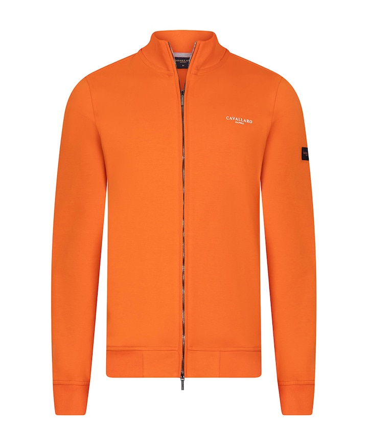 Heren vest oranje
