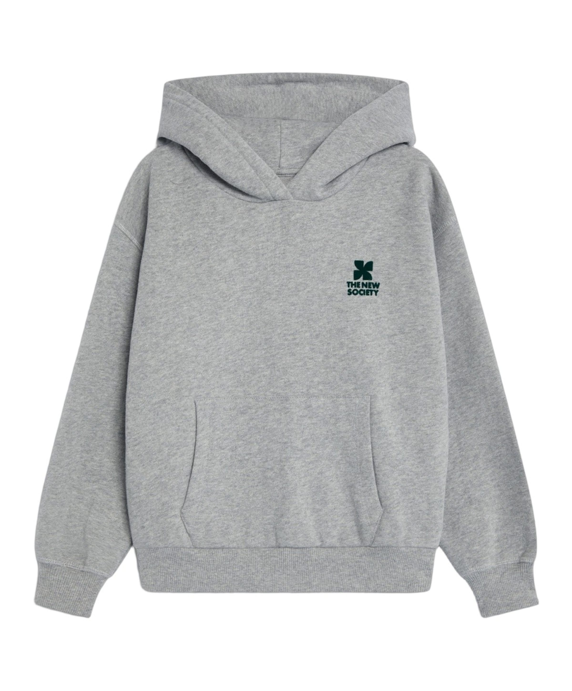 Jongens hoodie grijs