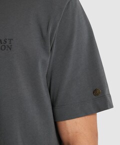 Heren T-shirt grijs