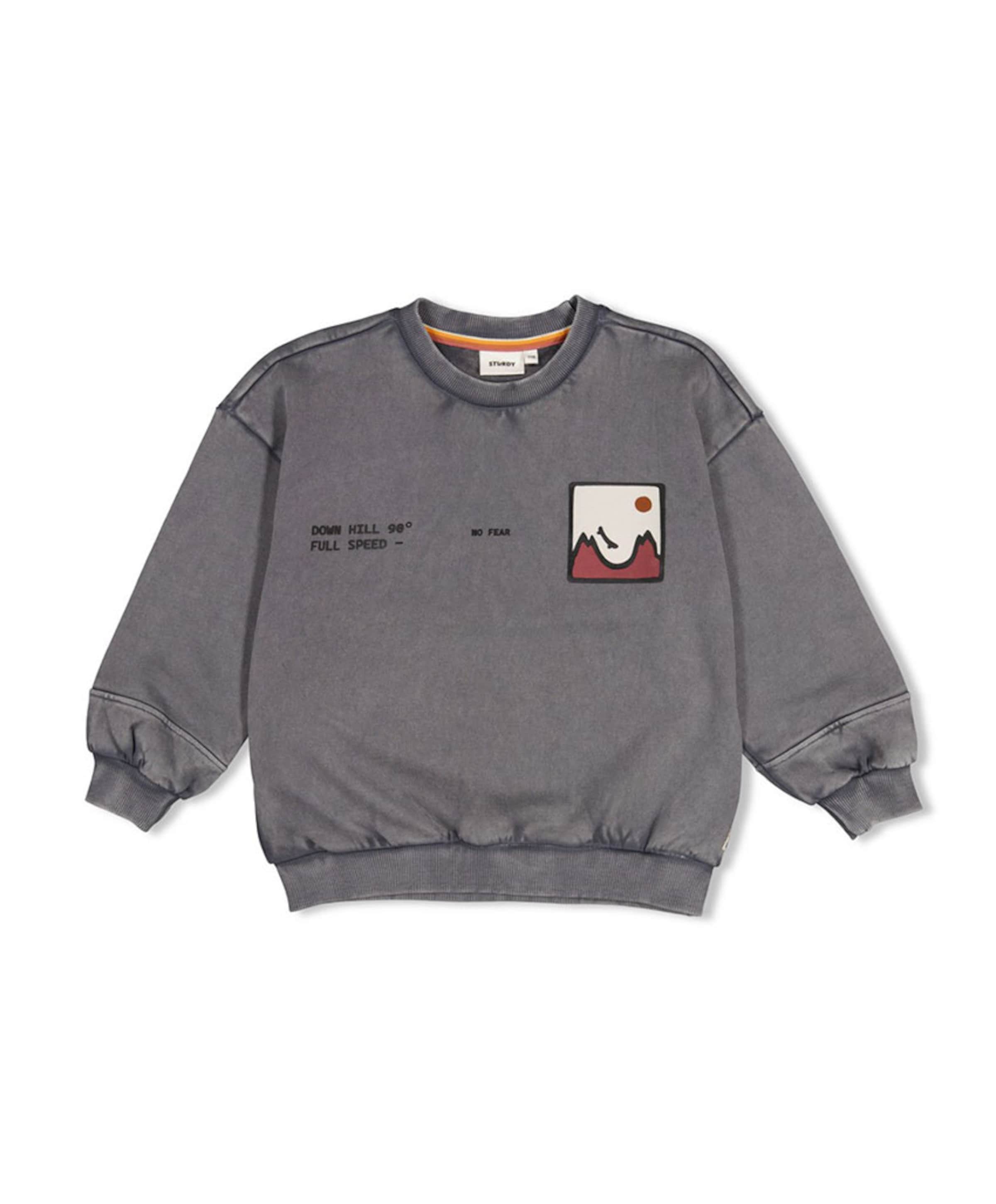 Jongens sweater grijs