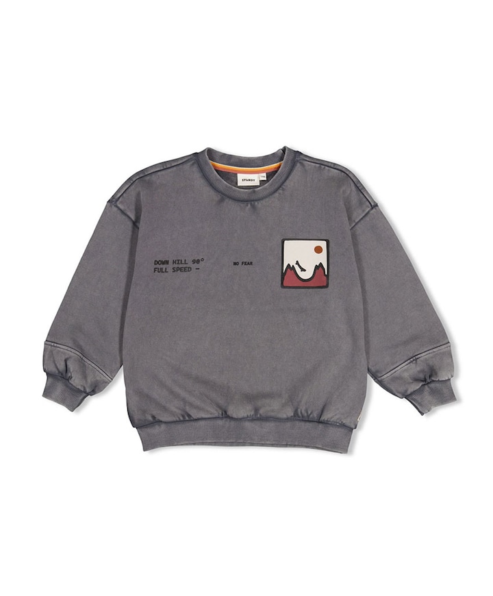 Jongens sweater grijs