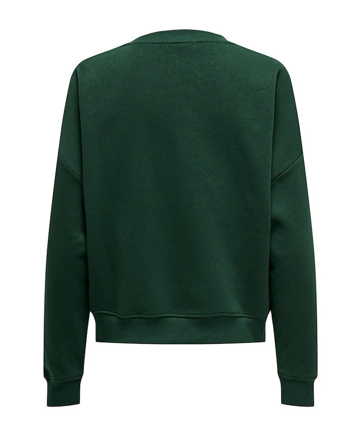 Dames sweater groen