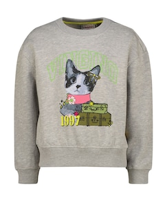 Meisjes sweater grijs