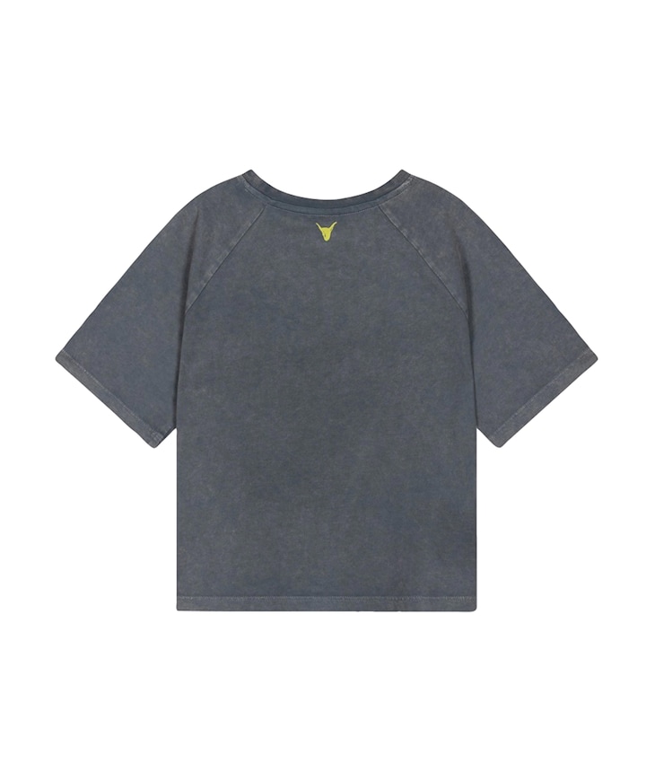 Uniseks t-shirt grijs