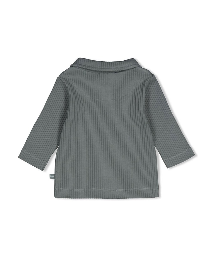 Jongens longsleeve groen
