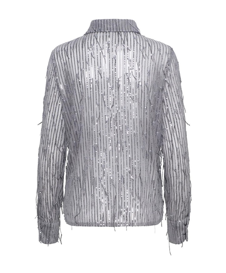 Dames blouse zilver