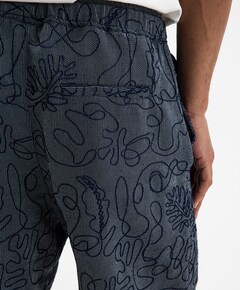 Alex Embro Shorts heren korte broek blauw