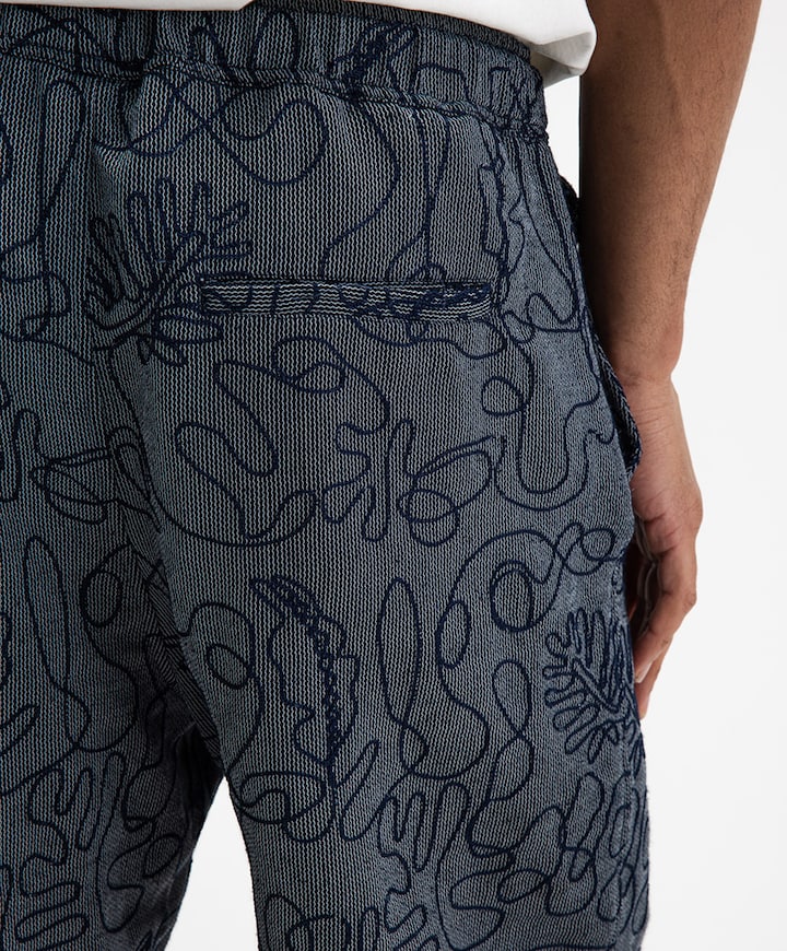 Alex Embro Shorts heren korte broek blauw