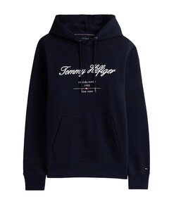 Heren hoodie blauw
