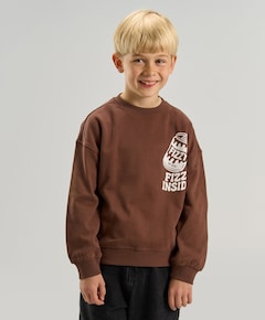 Jongens sweater bruin