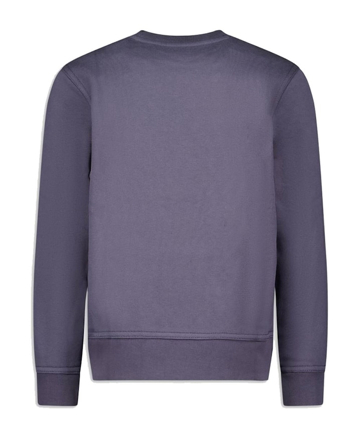 Jongens sweater grijs