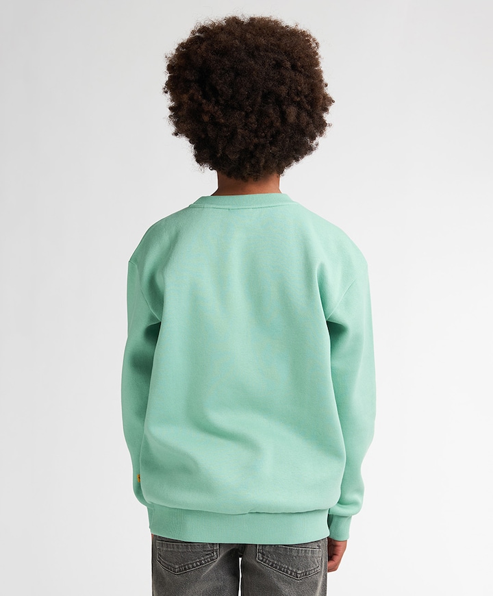 Sweater groen