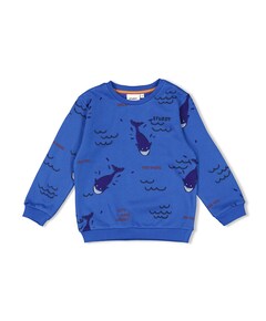 Sweater blauw