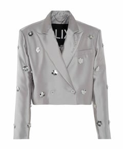 Blazer zilver