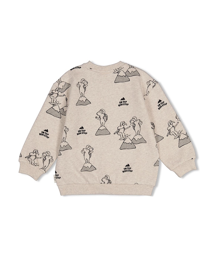 Jongens sweater ecru