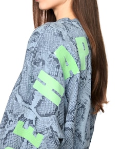 Dames sweater grijs