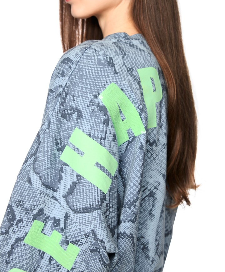 Dames sweater grijs