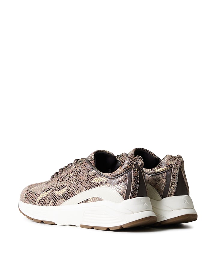 Bailey dames sneakers bruin