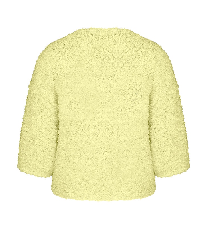 Dames vest geel