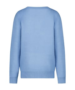 Jongens trui blauw