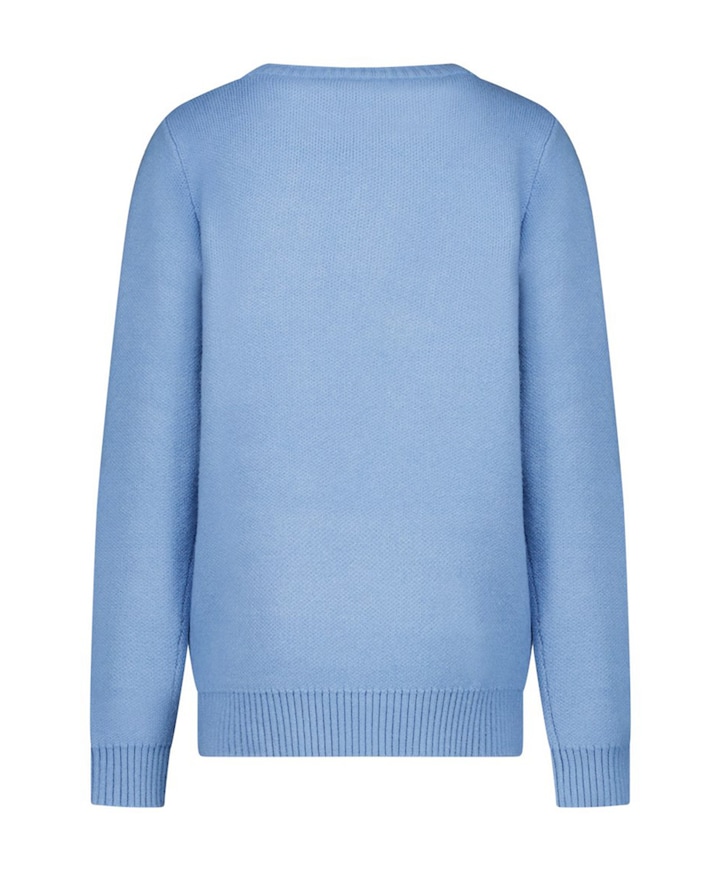 Jongens trui blauw