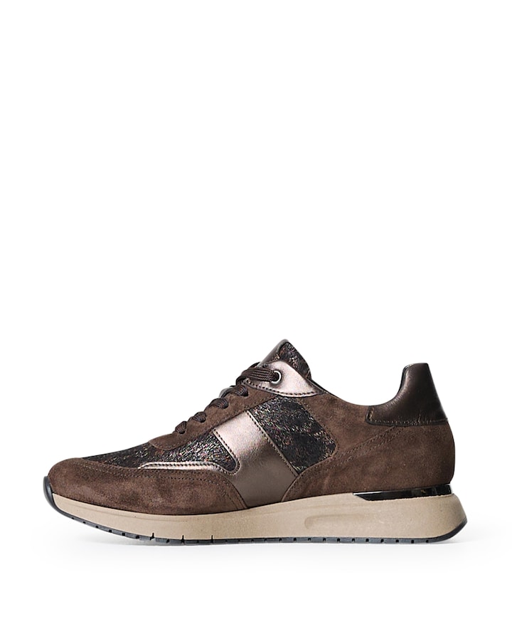 sneakers bruin