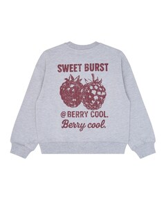 Jongens sweater grijs