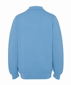 Heren polo blauw