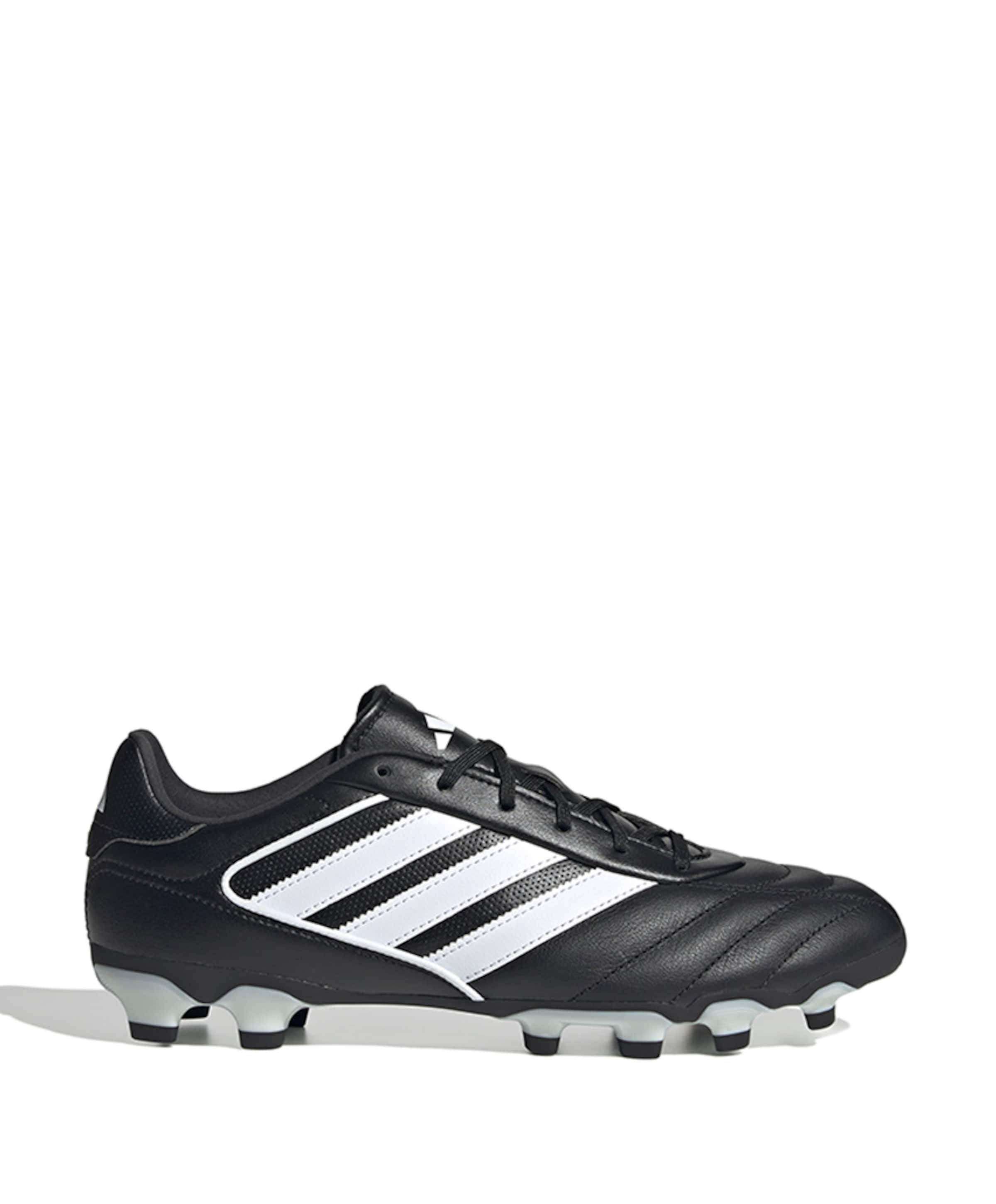 Copa Gloro Ii St Mg heren voetbalschoenen zwart