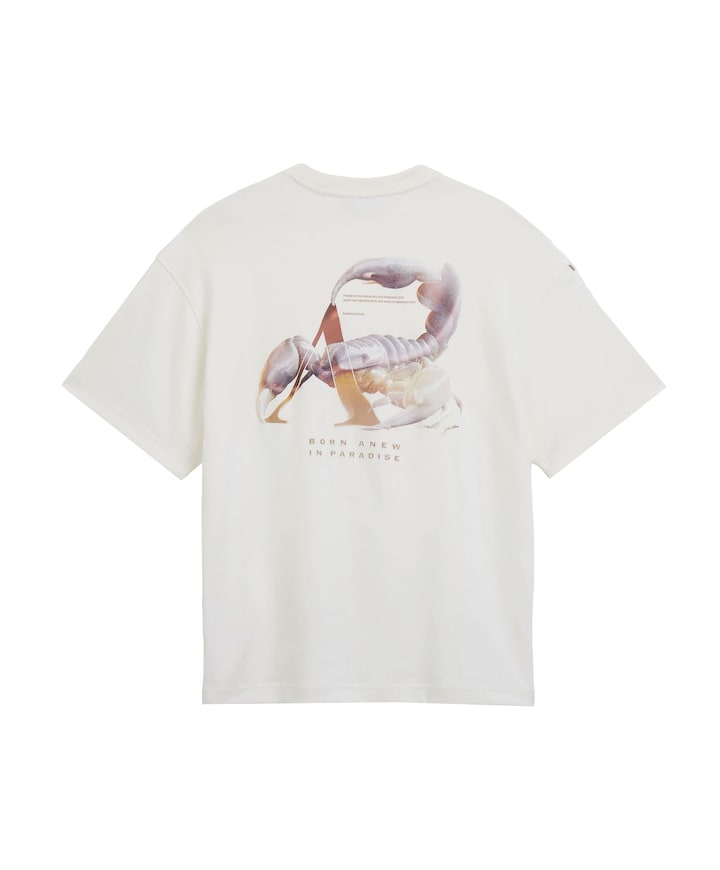 Heren T-shirt ecru