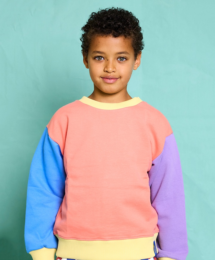 Uniseks sweater  multicolor