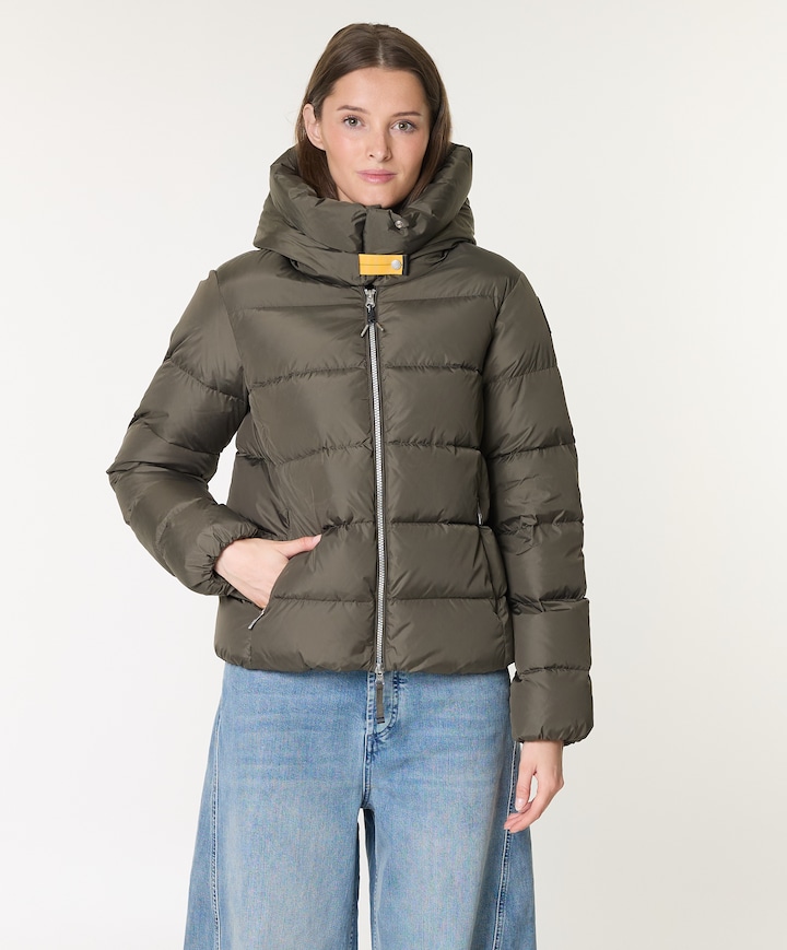 Dames jas groen