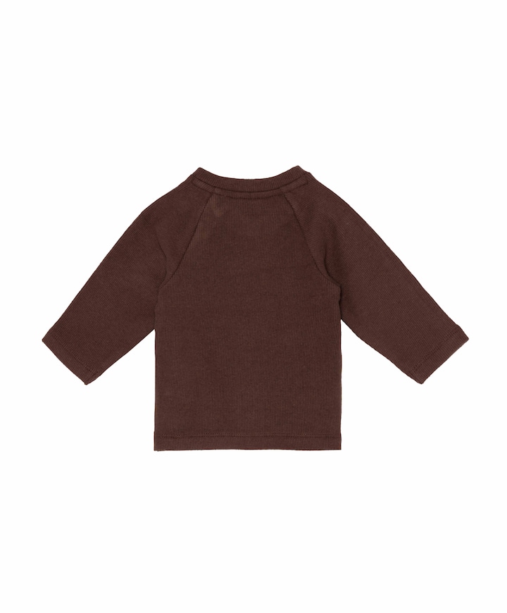 Jongens longsleeve bruin