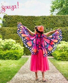 Meisjes Papillon Jurk +  vleugels