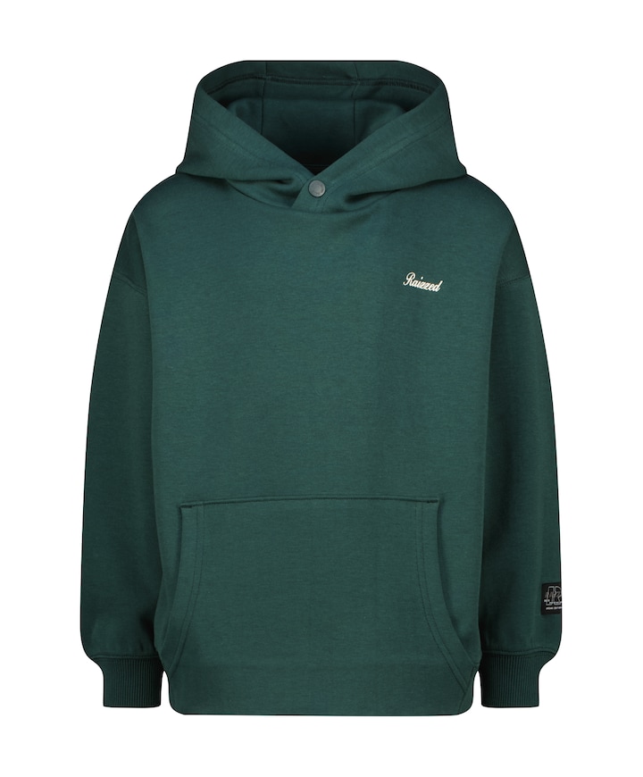 Jongens hoodie groen