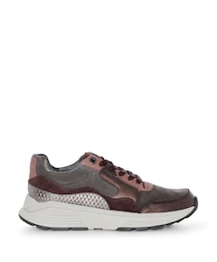 Golden Gate Lady dames sneakers bordeaux