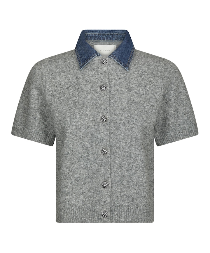 Dames vest grijs