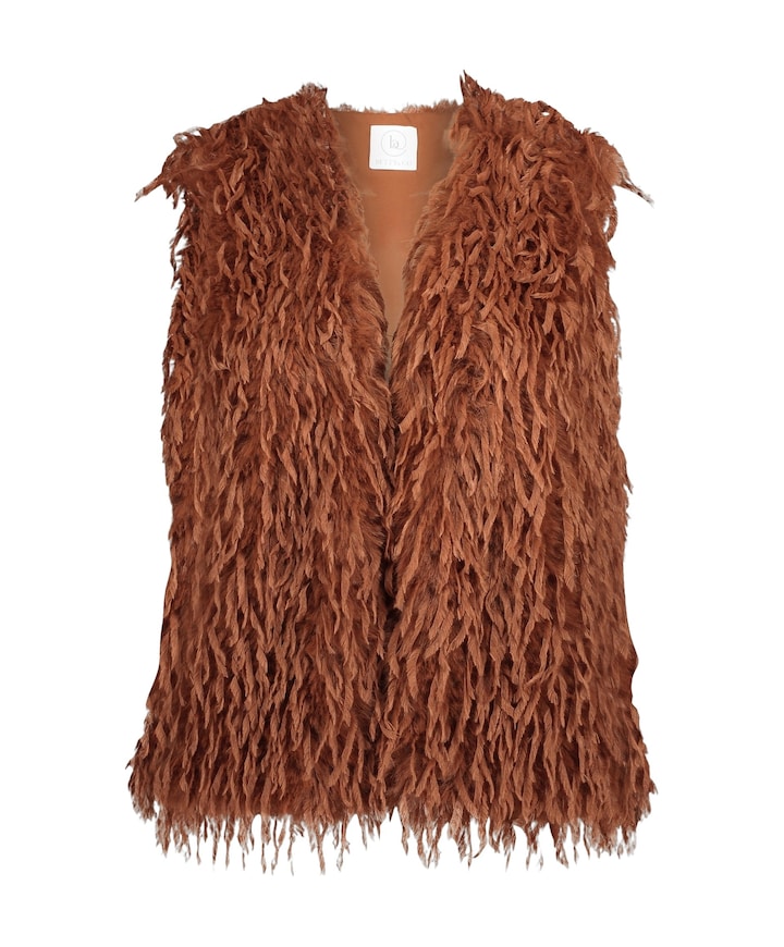 Dames gilet bruin