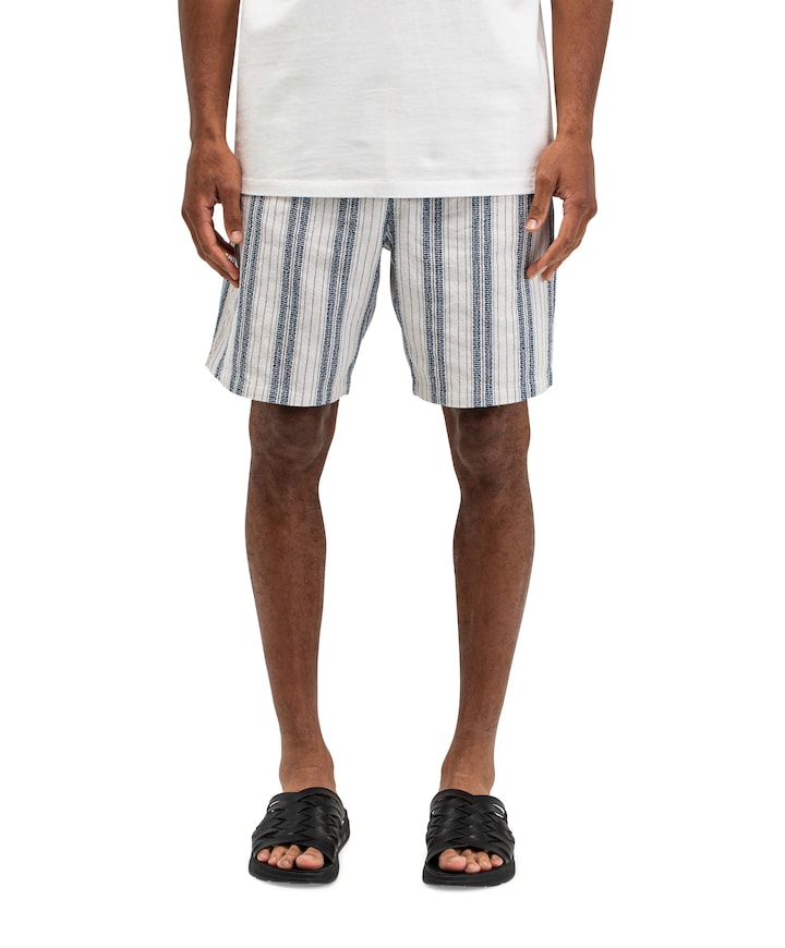 Alex Stripe Short heren korte broek blauw