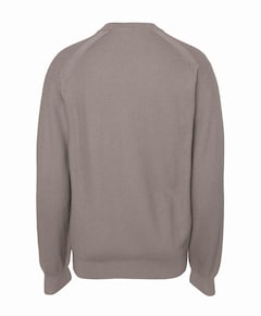 Heren trui beige
